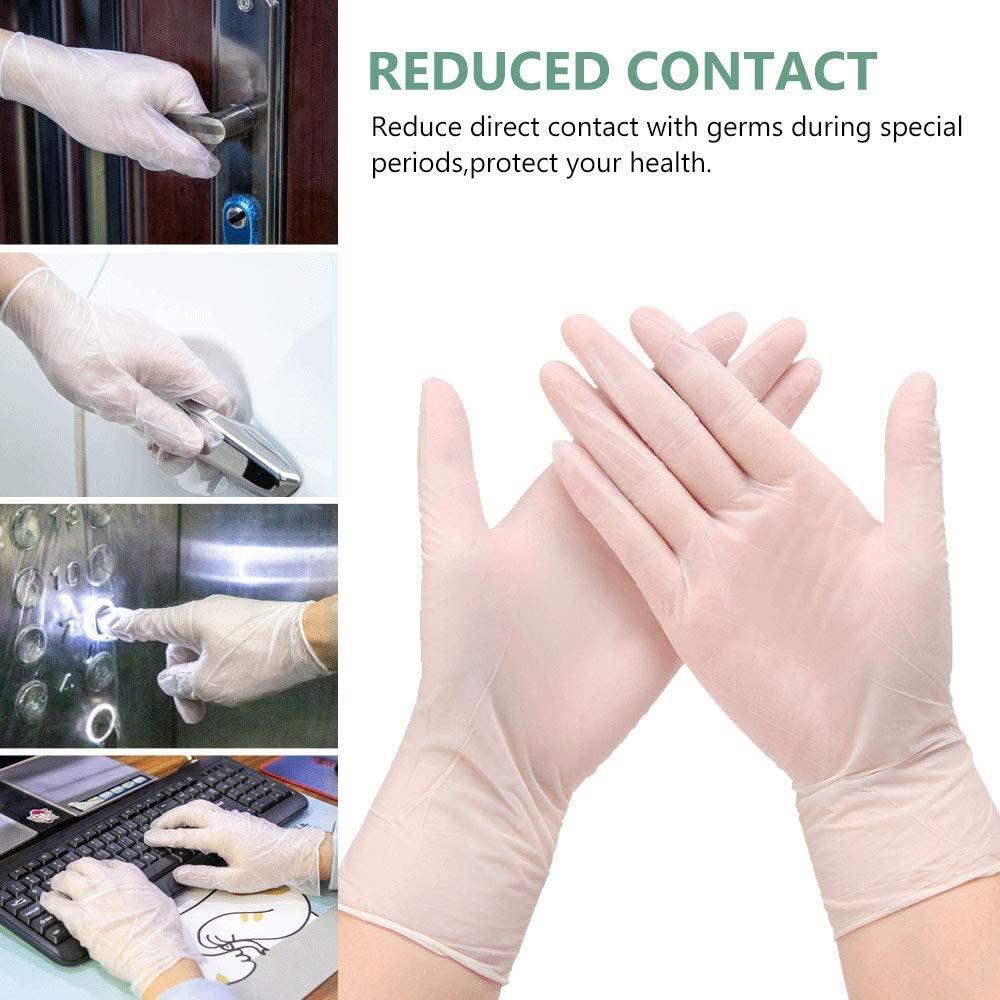 Vinyl Powder Free Gloves - 1000 Gloves - Image 3